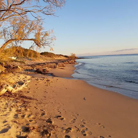 Terre Et Sainte-Lucie de Porto-Vecchio
