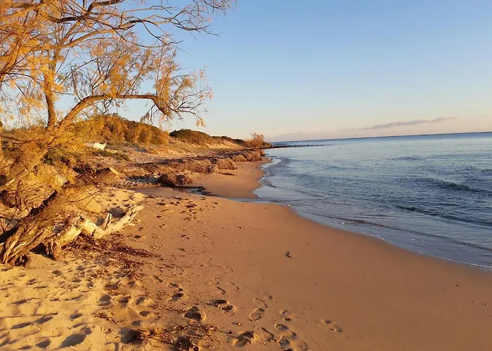 Terre Et Sainte-Lucie de Porto-Vecchio