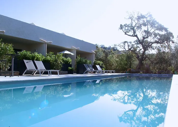 Apartamento Terre Et